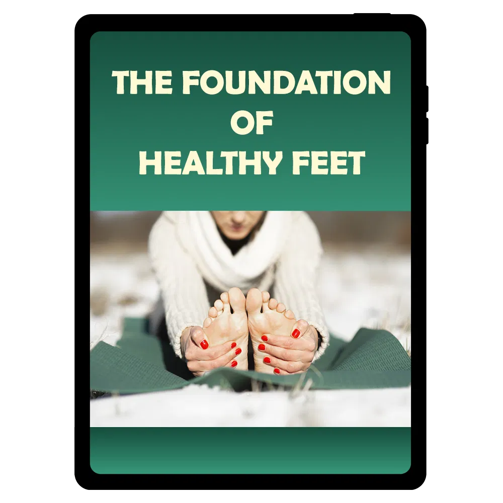 Bonus 2 - Wellness Guide